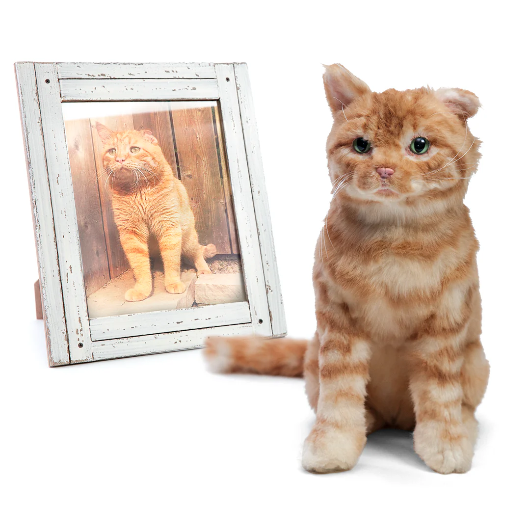 Custom Cat Plush Cuddle Clone - Image 5