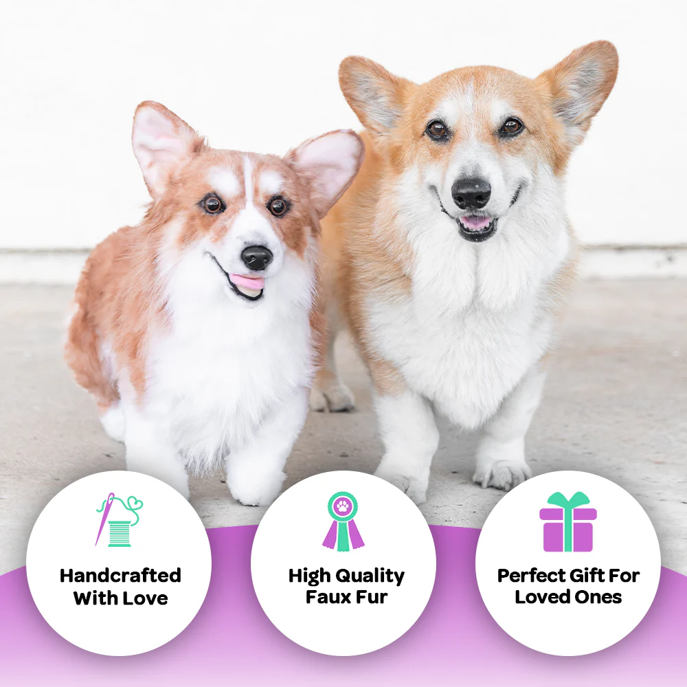 Custom Corgi Plush Cuddle Clone - Image 3