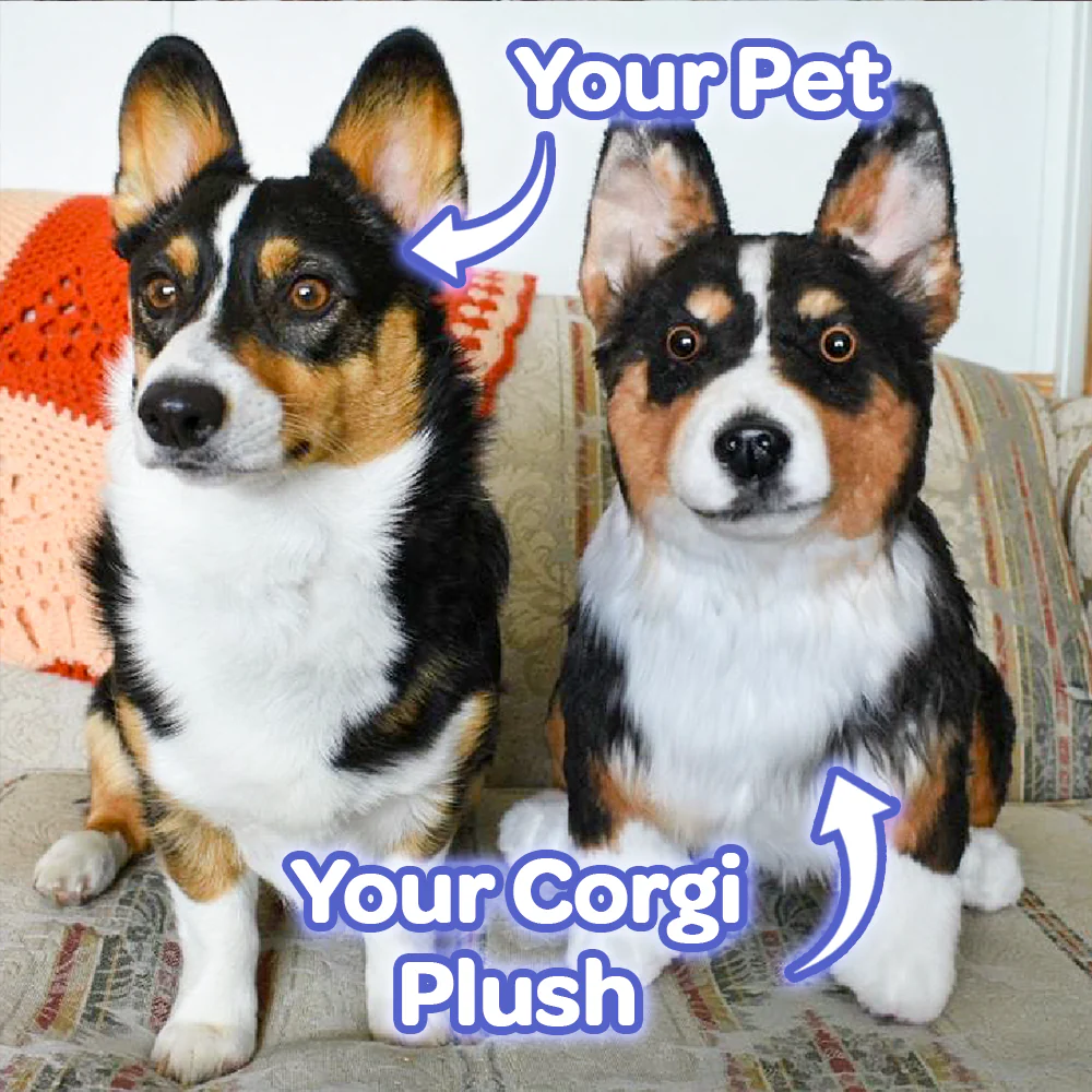 Custom Corgi Plush Cuddle Clone - Image 4