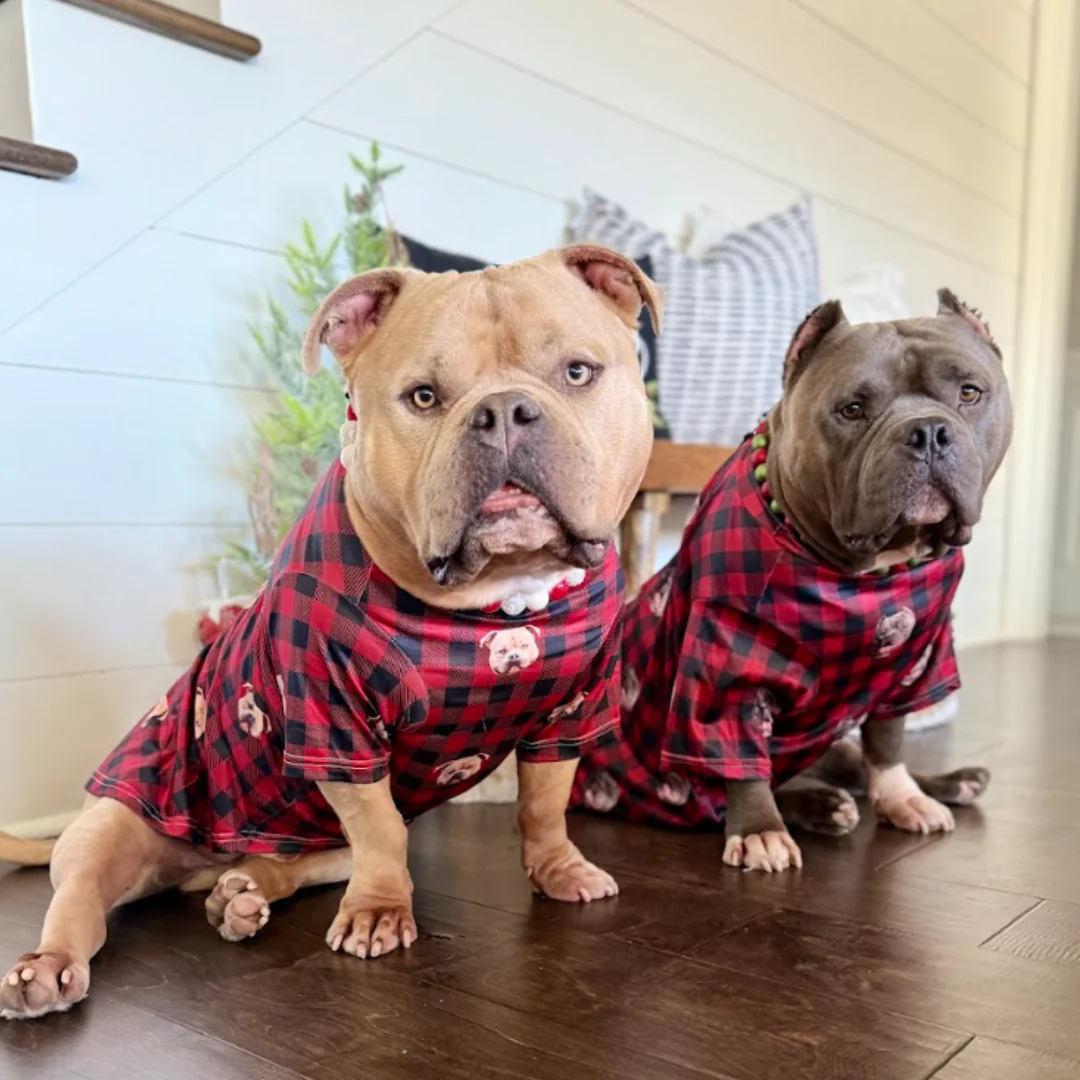 Custom Dog Pajamas - Image 3