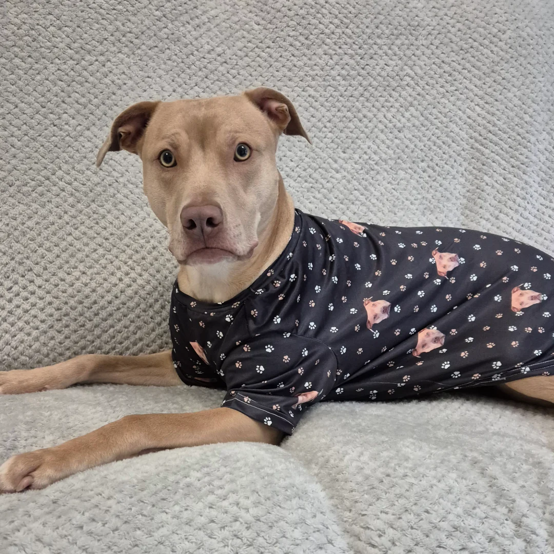 Custom Dog Pajamas - Image 4