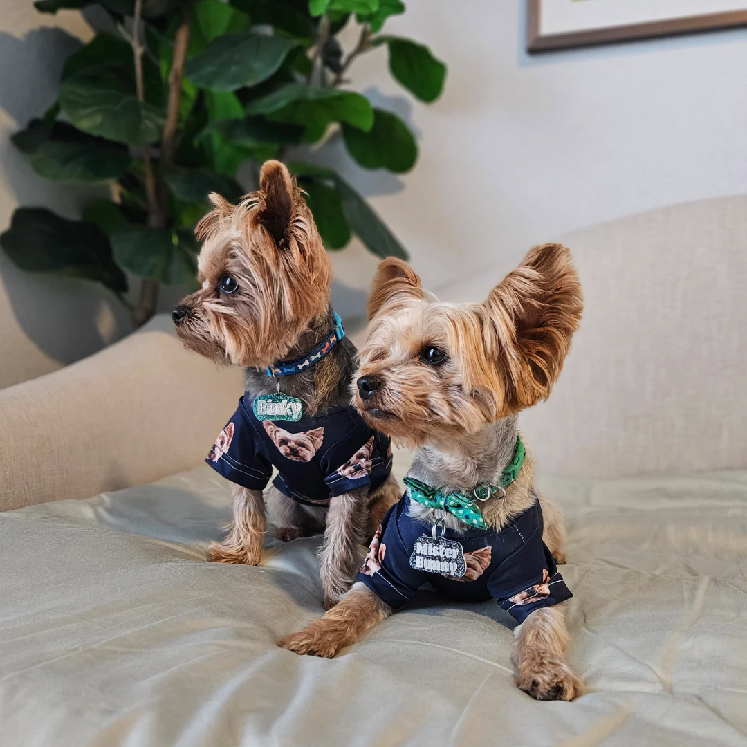 Custom Dog Pajamas - Image 5