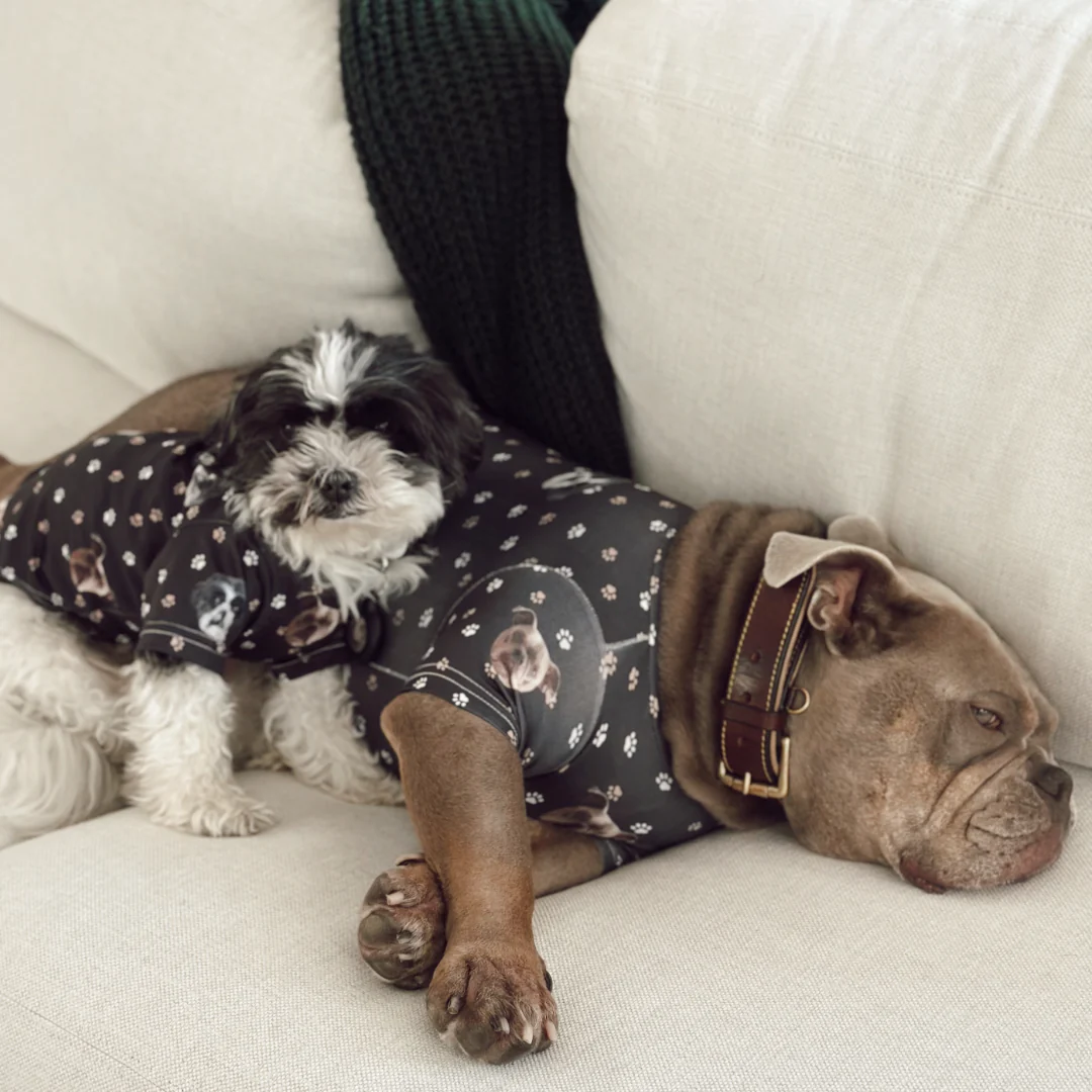 Custom Dog Pajamas - Image 6