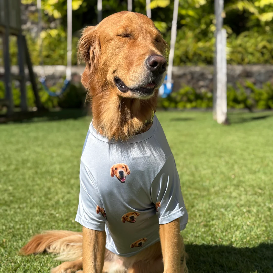 Custom Dog Pajamas - Image 8