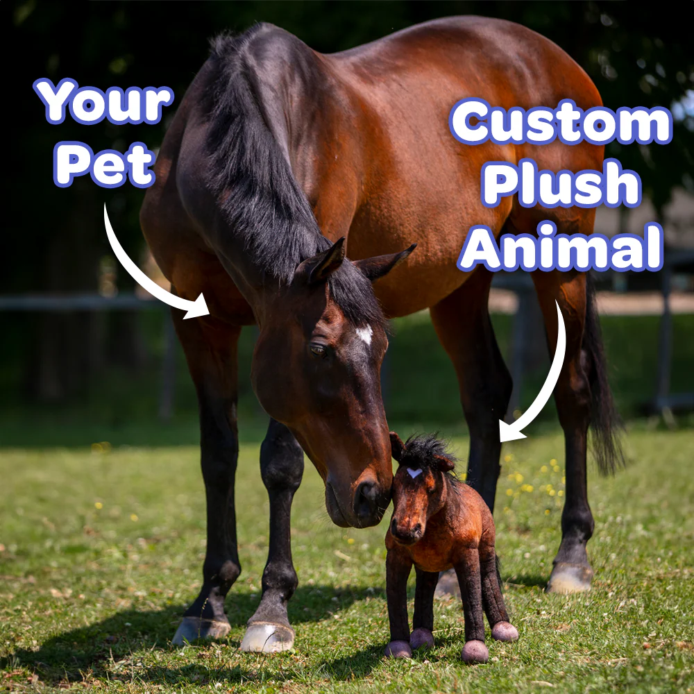 Custom Horse Plush Cuddle Clone - Image 3