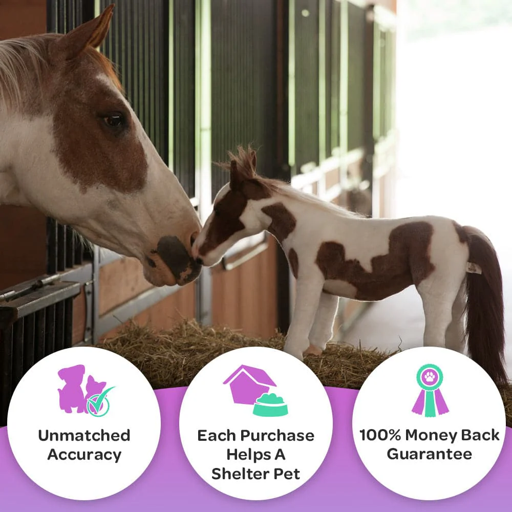 Custom Horse Plush Cuddle Clone - Image 4