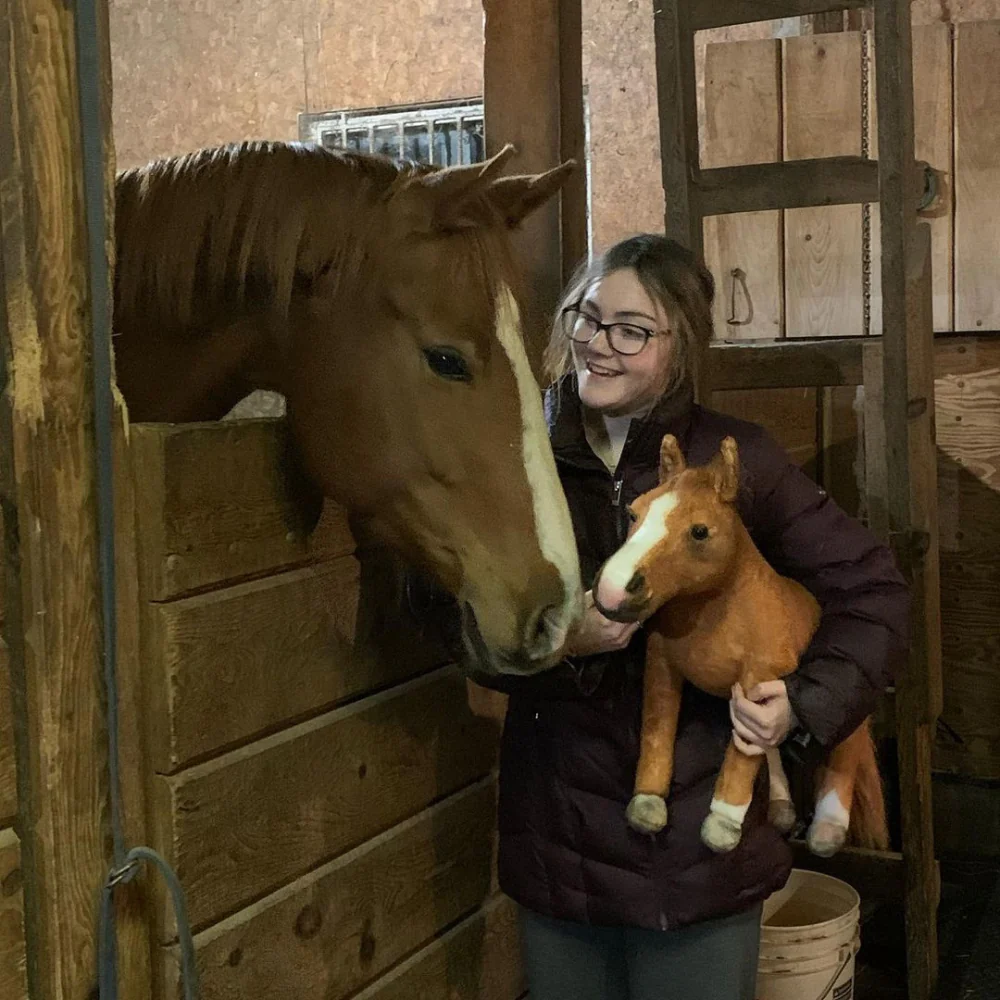 Custom Horse Plush Cuddle Clone - Image 6