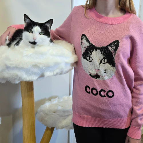 Custom Knit Pet Sweater - Image 12