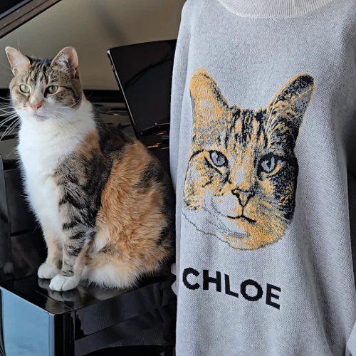 Custom Knit Pet Sweater - Image 14