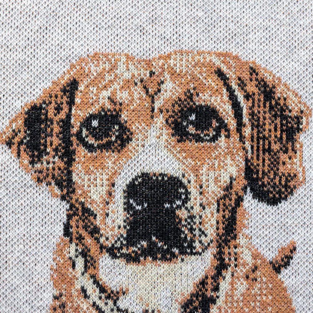 Custom Knit Pet Sweater - Image 19