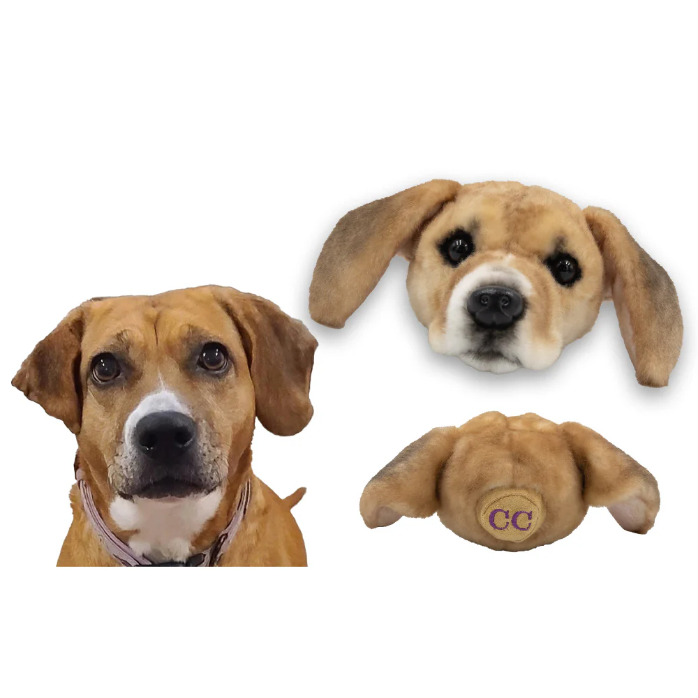 Custom Pet Magnets - Image 11