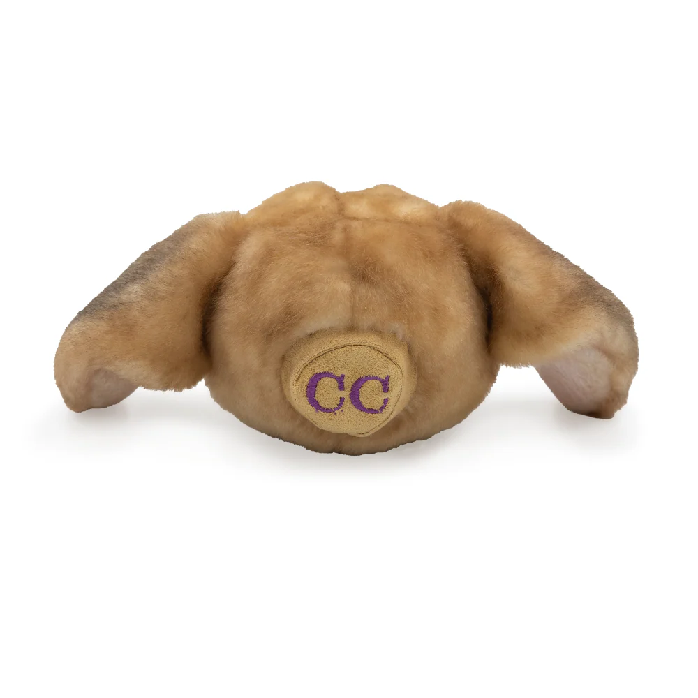 Custom Pet Magnets - Image 14