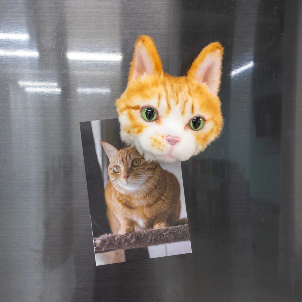 Custom Pet Magnets - Image 5