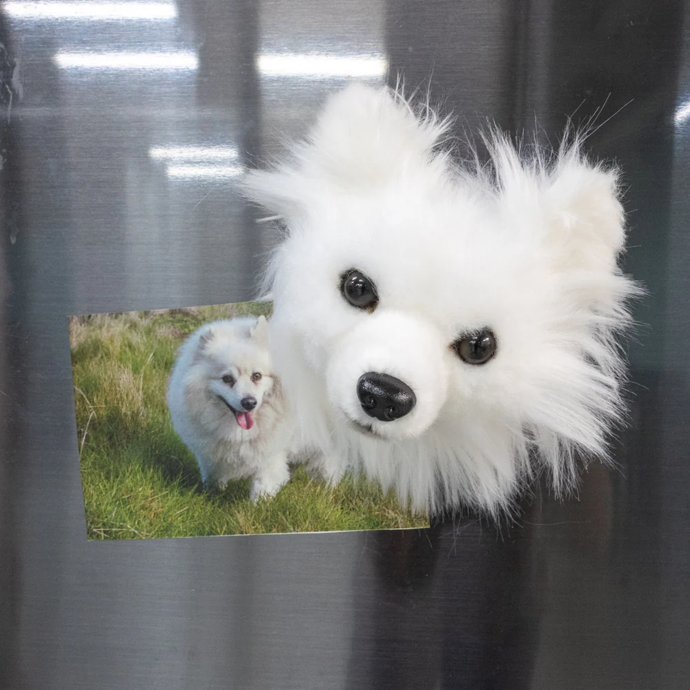 Custom Pet Magnets - Image 6