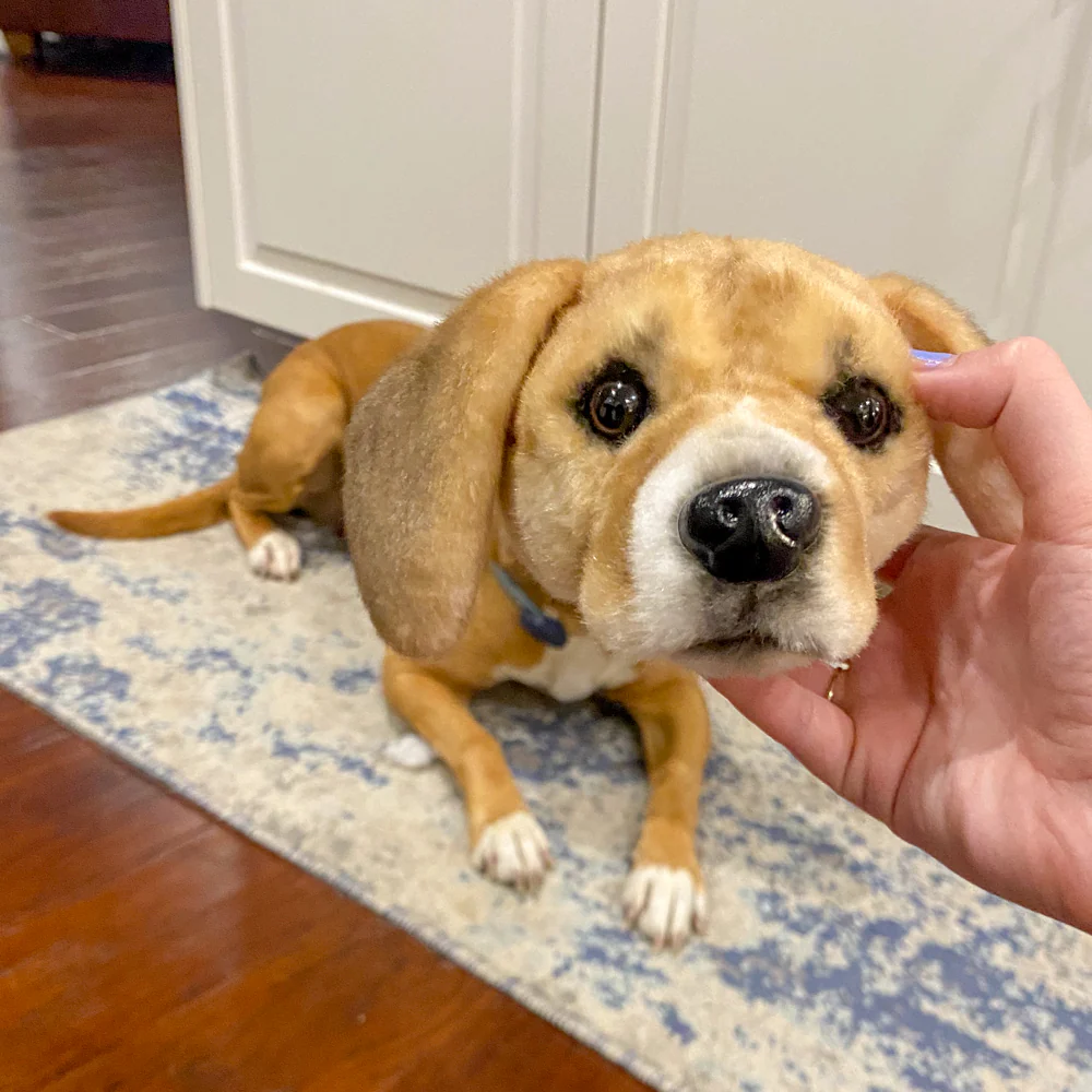 Custom Pet Magnets - Image 8