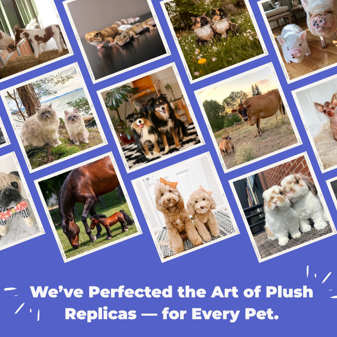 Custom Pet Memorial Plush Cuddle Clone - Image 3