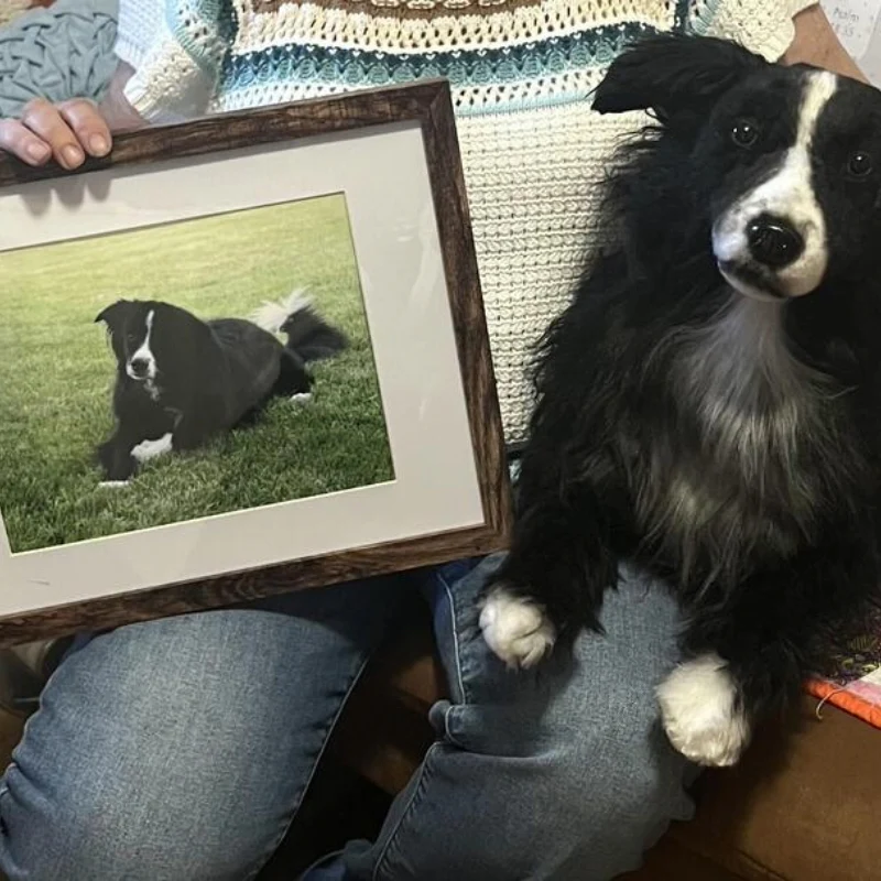 Custom Pet Memorial Plush Cuddle Clone - Image 4