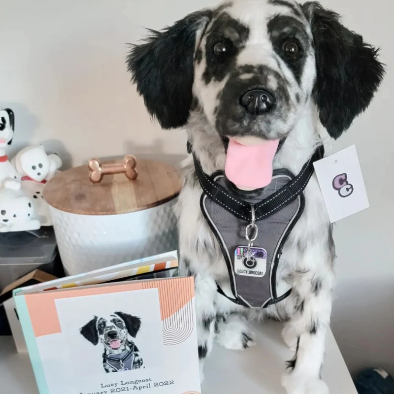 Custom Pet Memorial Plush Cuddle Clone - Image 5