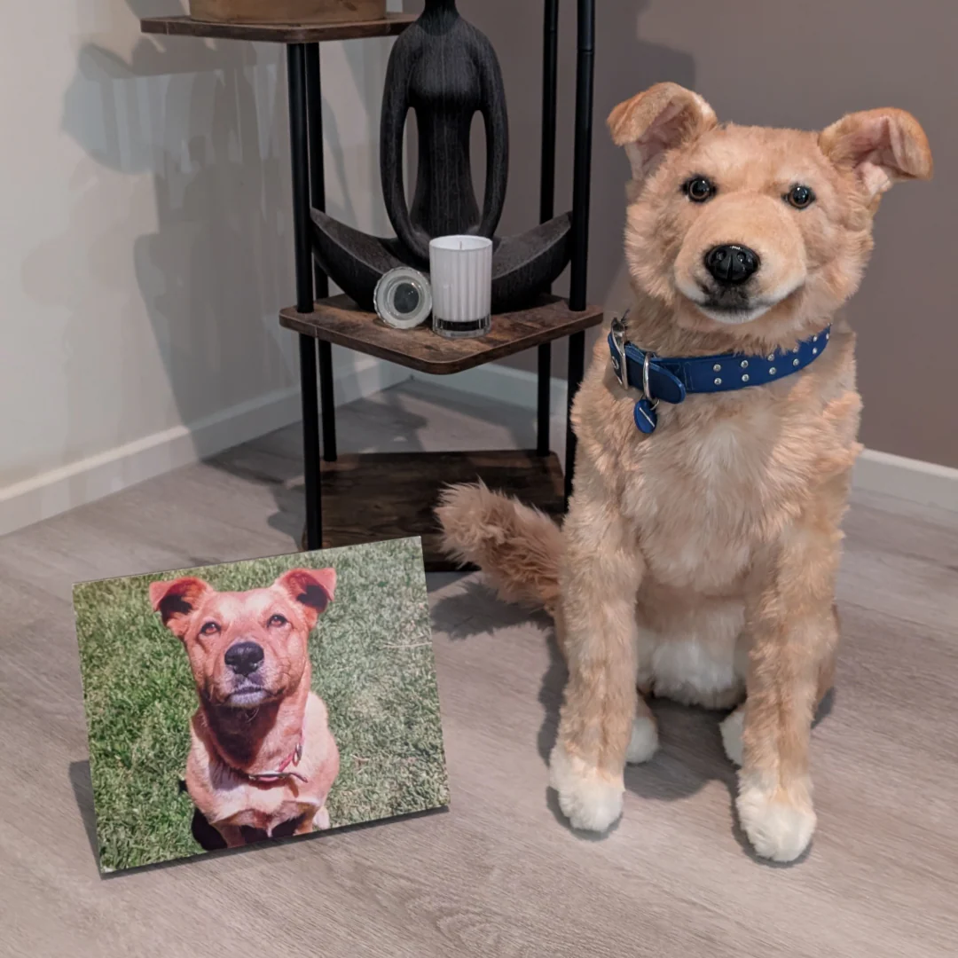 Custom Pet Memorial Plush Cuddle Clone - Image 8