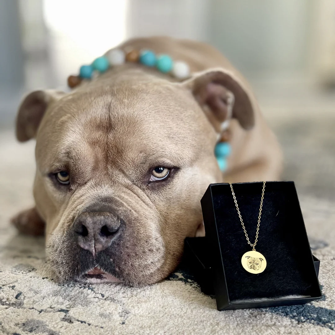 Custom Engraved Pet Portrait Necklace - Image 4