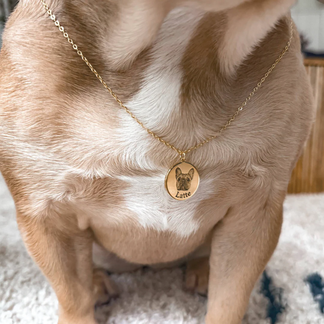 Custom Engraved Pet Portrait Necklace - Image 5