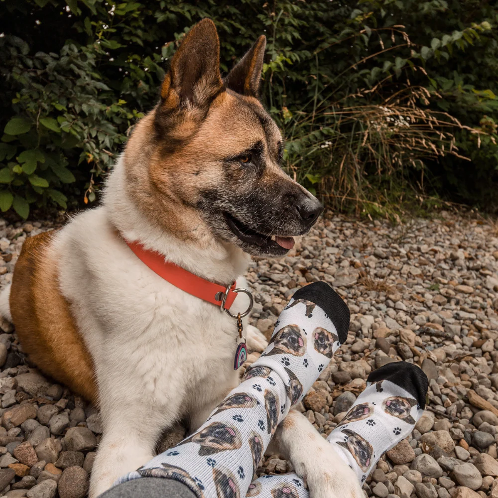 Custom Pet Socks - Image 3