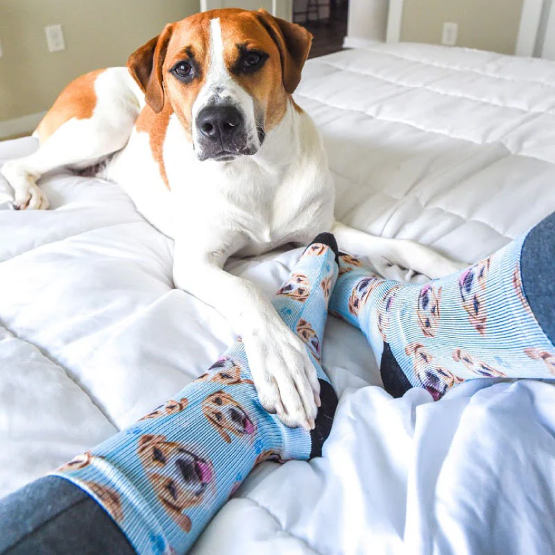 Custom Pet Socks - Image 4