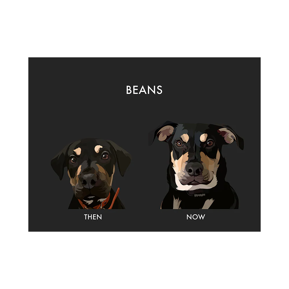Custom Then vs Now Pet Portrait - Image 10