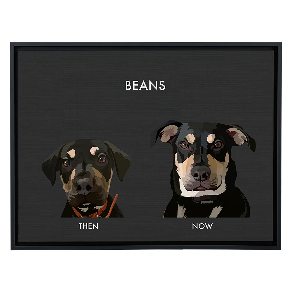 Custom Then vs Now Pet Portrait - Image 105