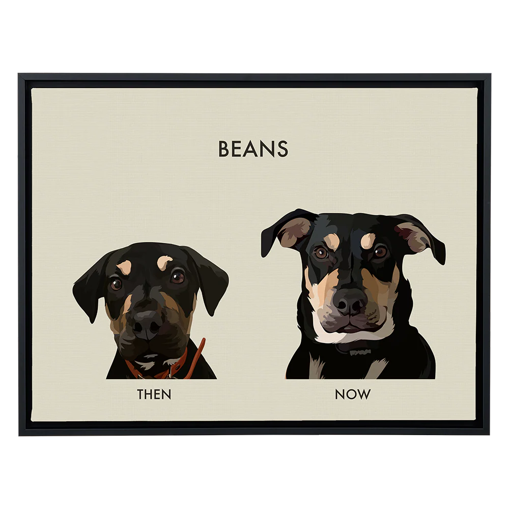 Custom Then vs Now Pet Portrait - Image 107