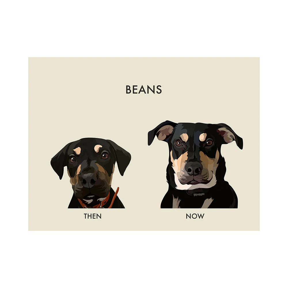 Custom Then vs Now Pet Portrait - Image 12