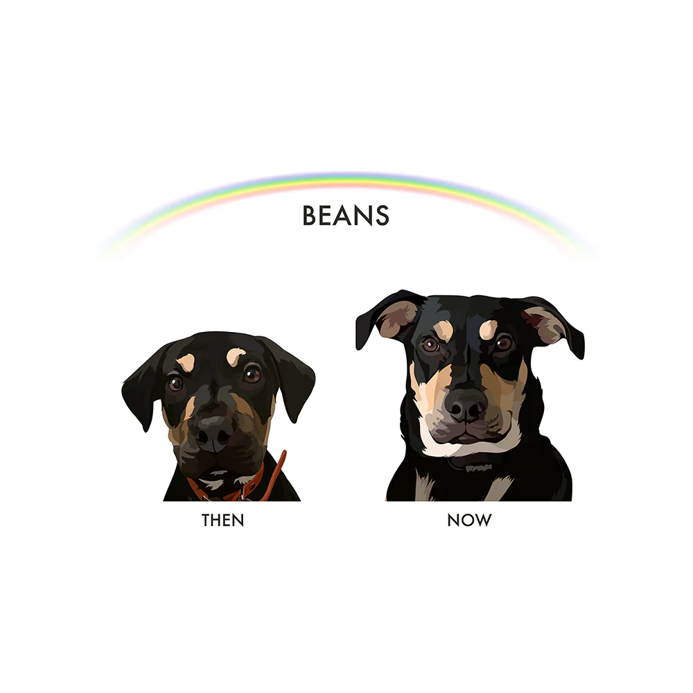 Custom Then vs Now Pet Portrait - Image 13