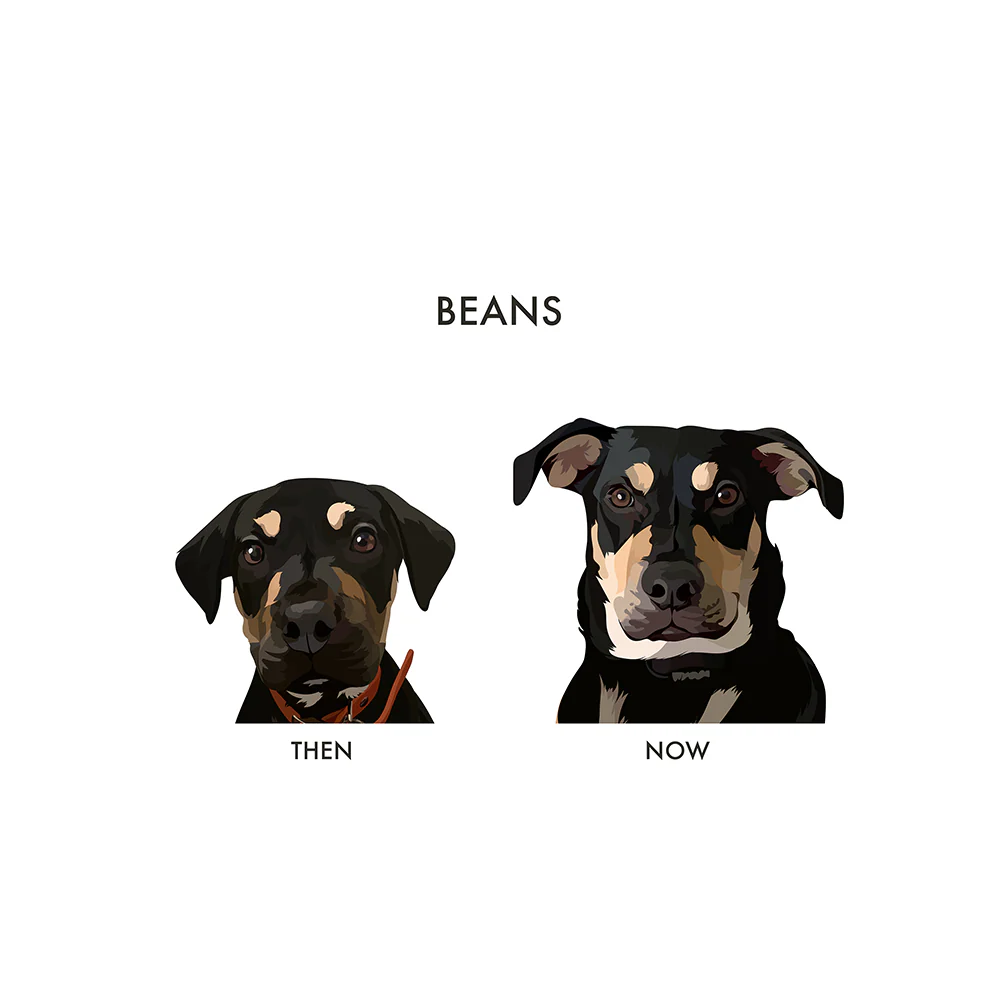 Custom Then vs Now Pet Portrait - Image 14