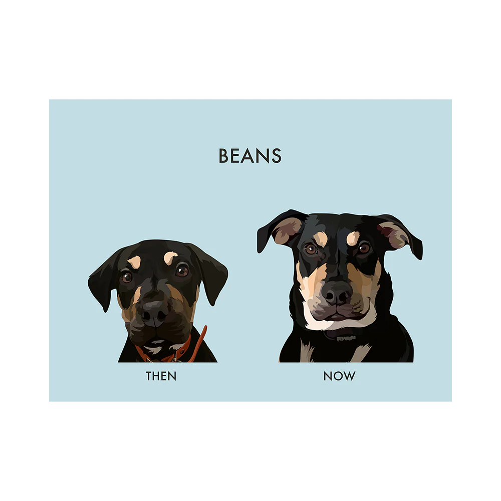 Custom Then vs Now Pet Portrait - Image 15