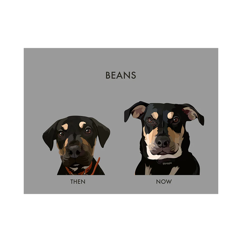 Custom Then vs Now Pet Portrait - Image 16