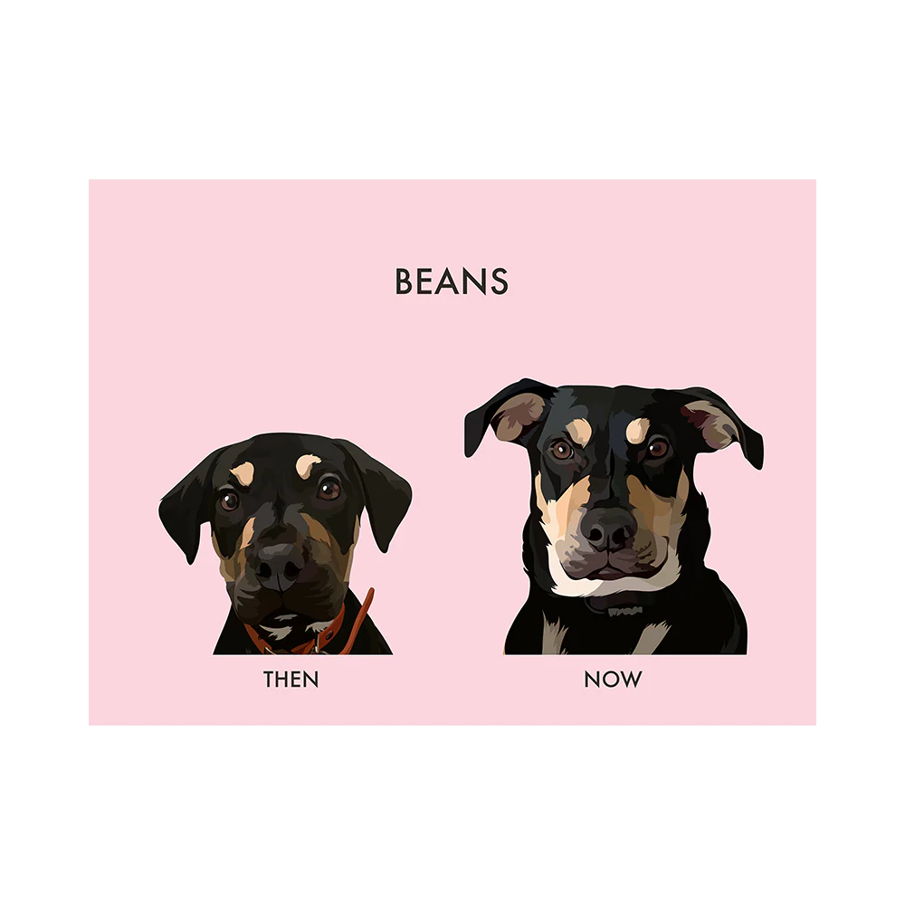 Custom Then vs Now Pet Portrait - Image 17