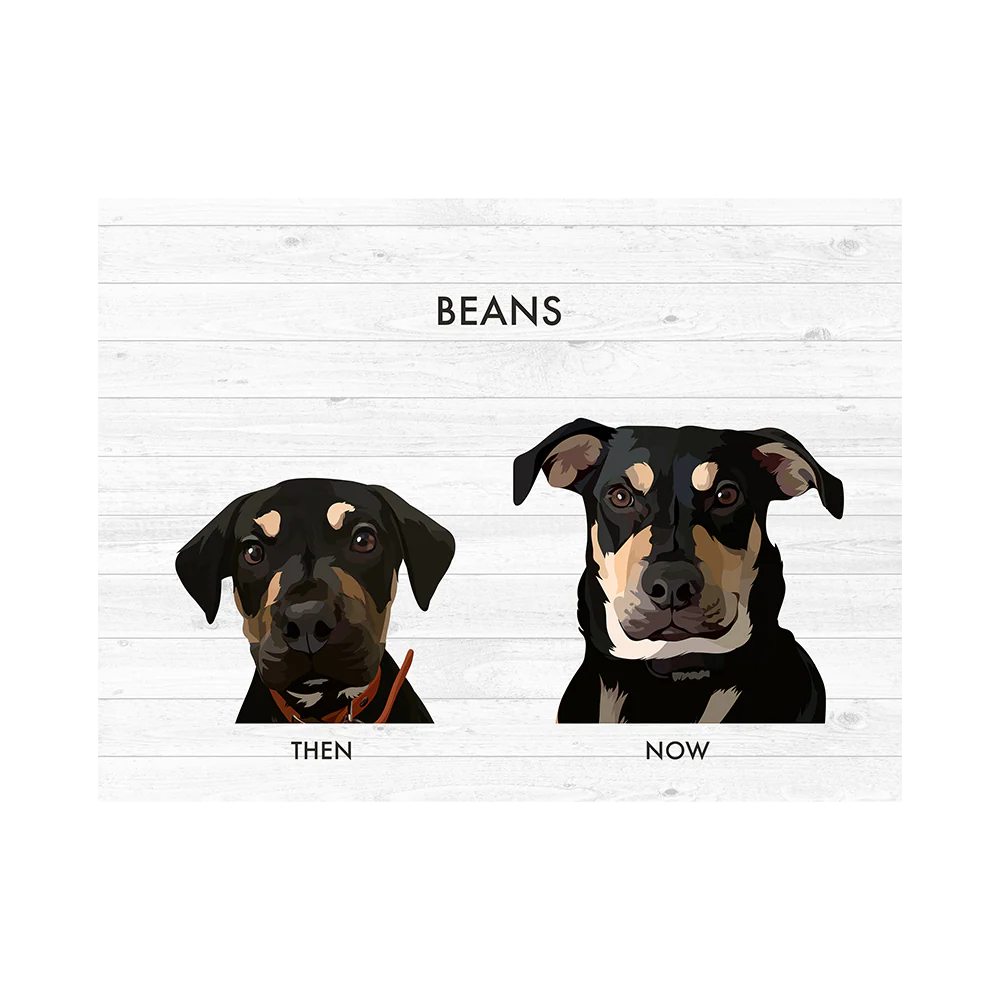 Custom Then vs Now Pet Portrait - Image 18