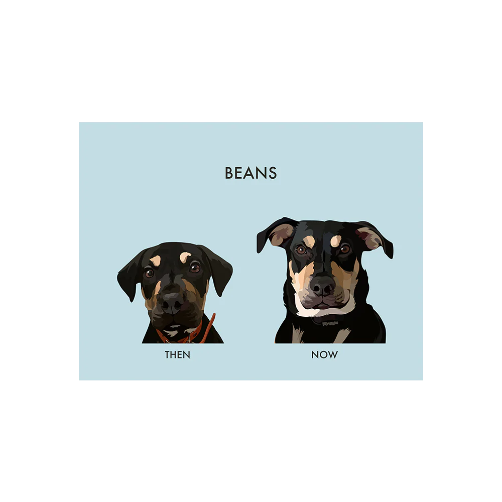 Custom Then vs Now Pet Portrait - Image 3