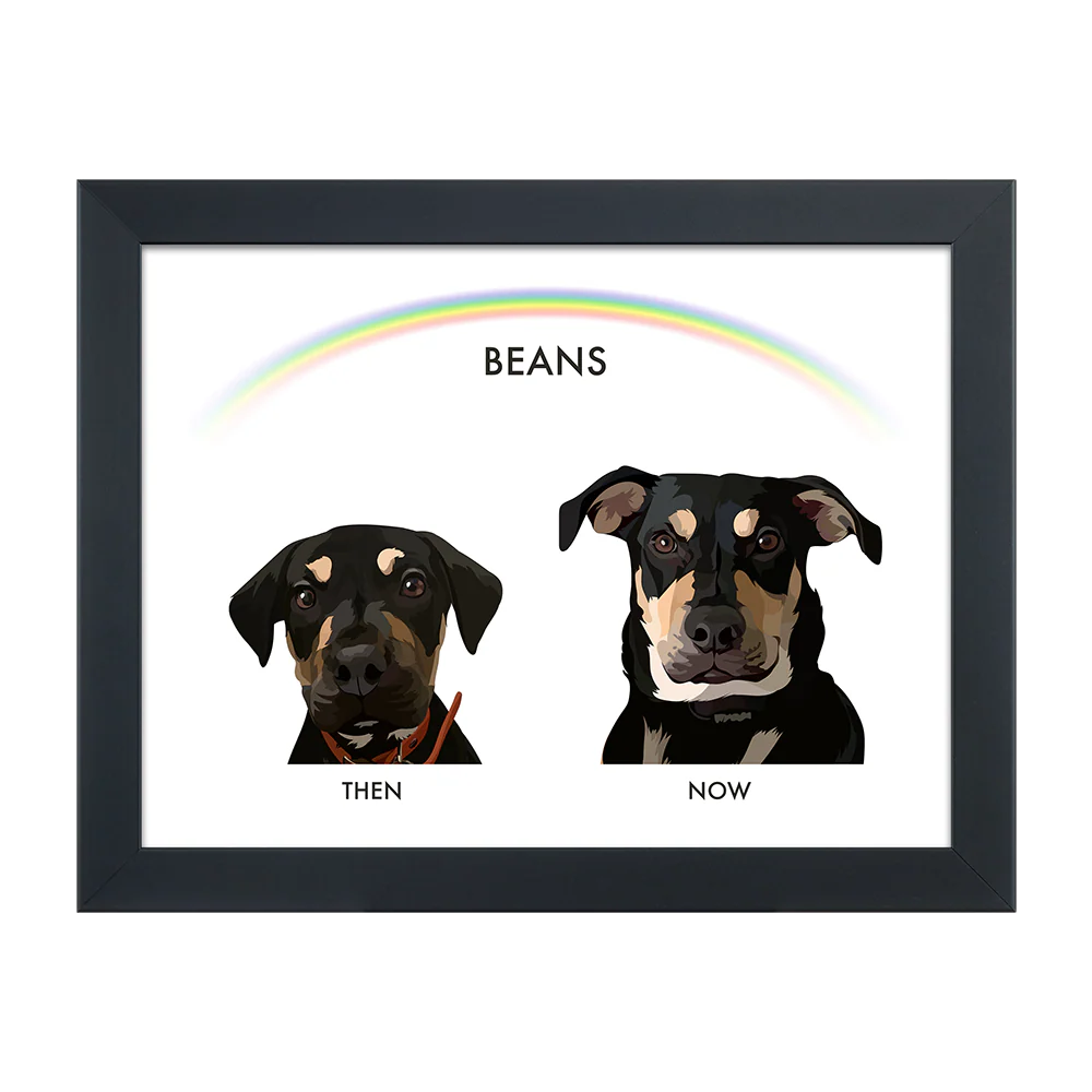 Custom Then vs Now Pet Portrait - Image 38