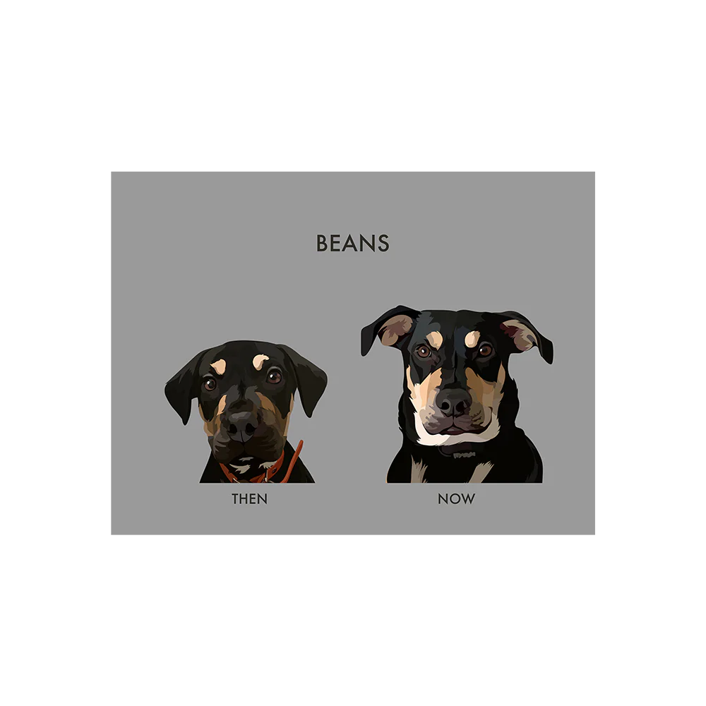 Custom Then vs Now Pet Portrait - Image 4