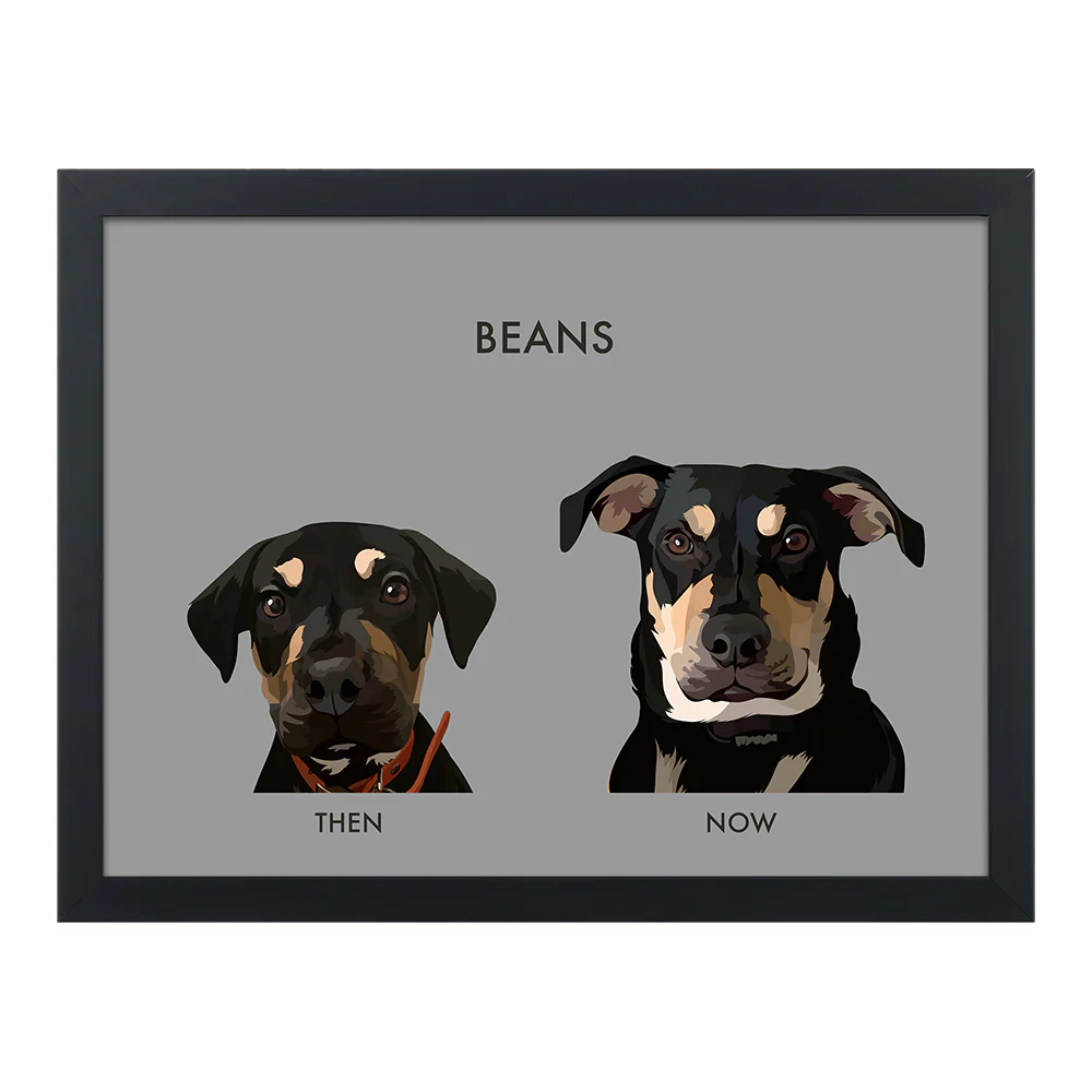 Custom Then vs Now Pet Portrait - Image 49
