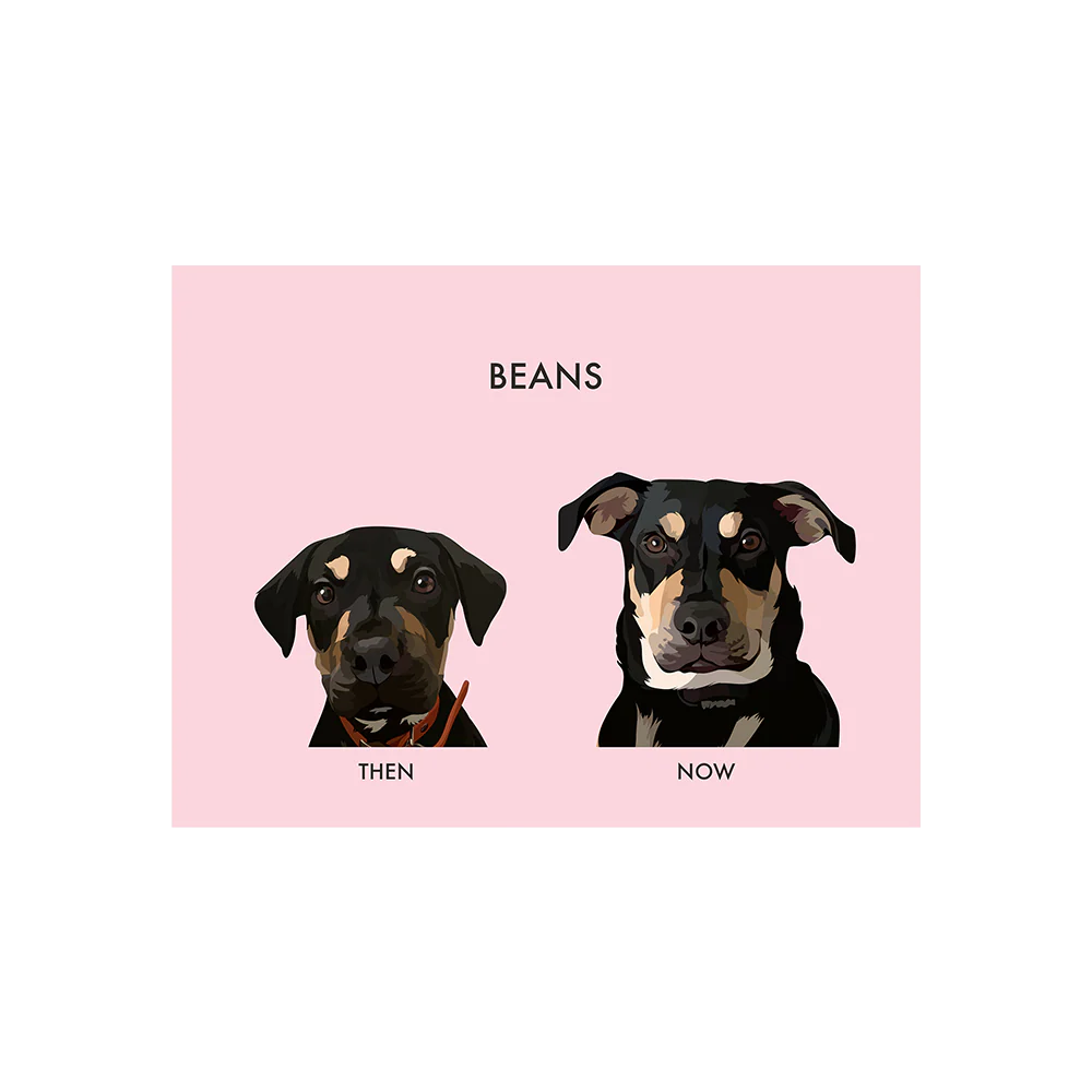 Custom Then vs Now Pet Portrait - Image 5