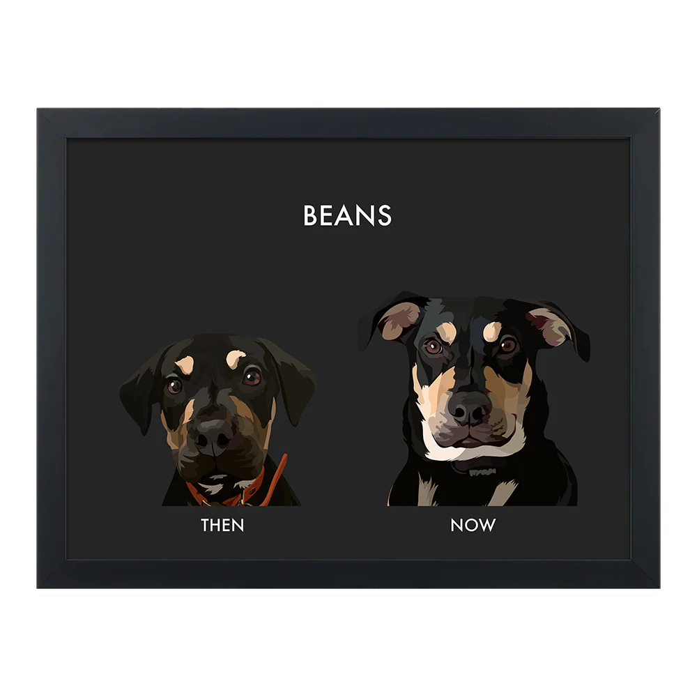 Custom Then vs Now Pet Portrait - Image 51