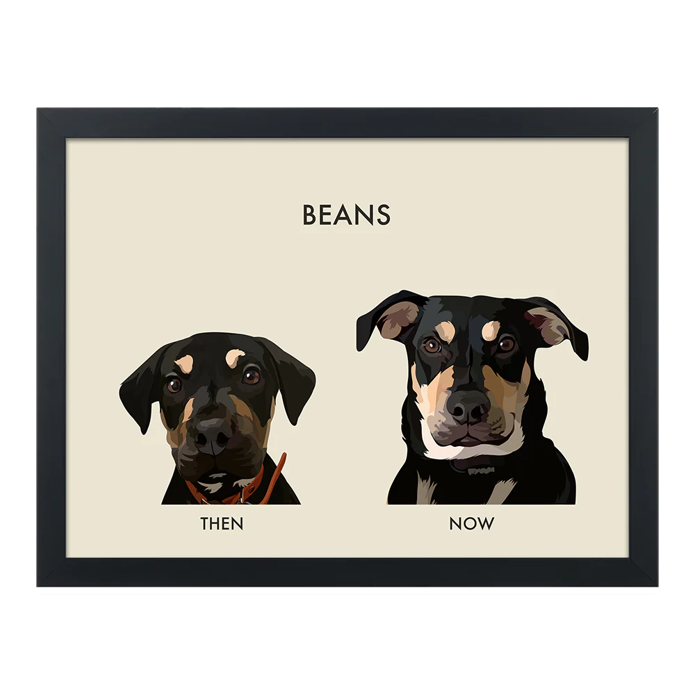 Custom Then vs Now Pet Portrait - Image 53