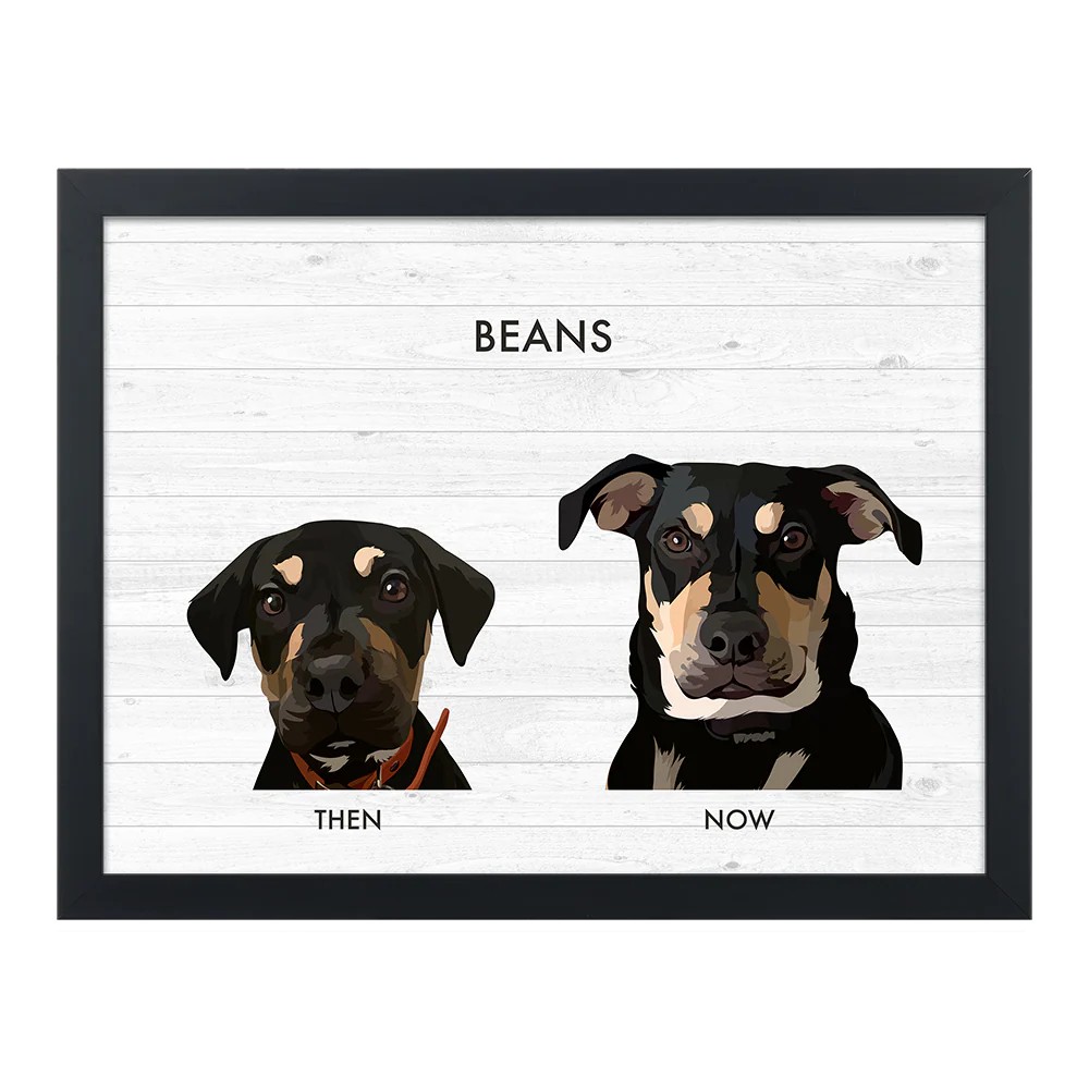 Custom Then vs Now Pet Portrait - Image 54