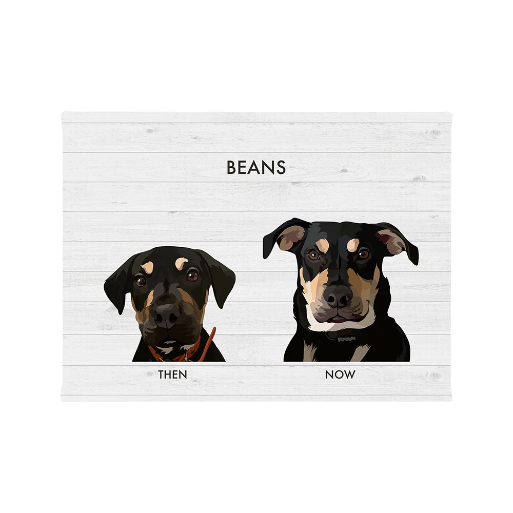 Custom Then vs Now Pet Portrait - Image 56