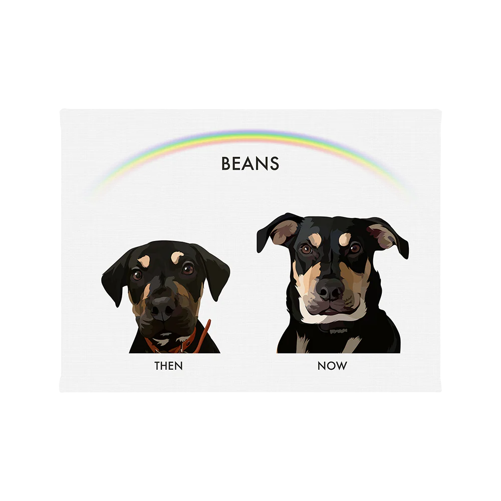 Custom Then vs Now Pet Portrait - Image 57