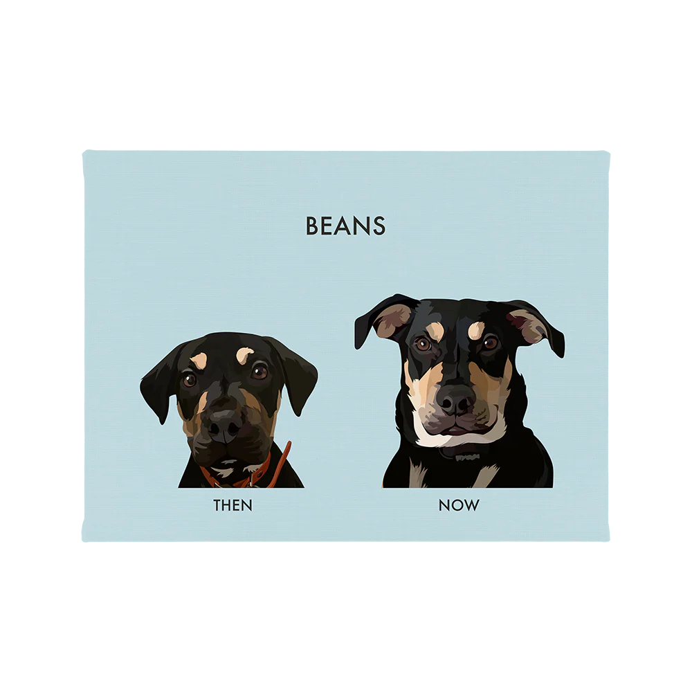 Custom Then vs Now Pet Portrait - Image 58