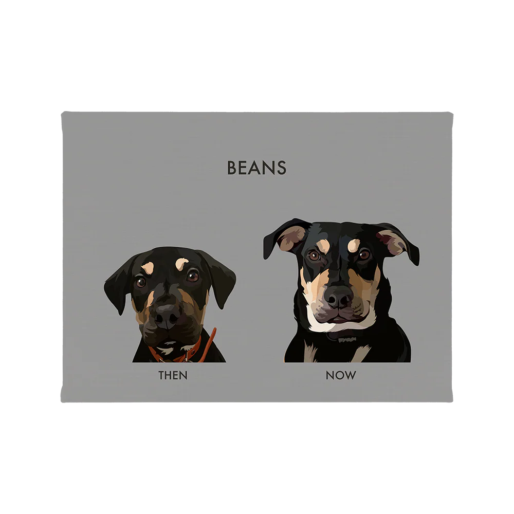 Custom Then vs Now Pet Portrait - Image 59
