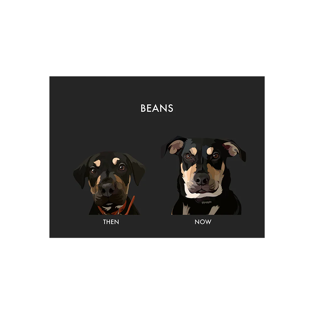 Custom Then vs Now Pet Portrait - Image 6